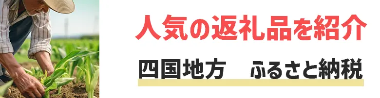 四国地方　ふるさと納税